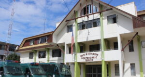 Un Detenido Por Lanzar “Pelotazo” Con Celular Y Elementos Prohibidos A La Cárcel De Temuco