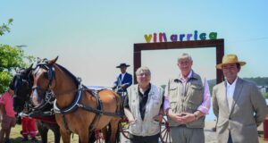 Villarrica Tendrá Tres Días Llenos De Deporte Y Música En Evento Ecuestre Cultural
