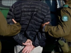 Detienen A Hombre Acusado De Femicidio En Victoria: Víctima Fue Atacada Con Arma Blanca