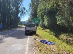 Investigan Hallazgo De Persona Fallecida Al Costado De Ruta En Gorbea: Se Trata De Un Hombre De 60 Años