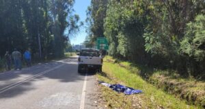 Investigan Hallazgo De Persona Fallecida Al Costado De Ruta En Gorbea: Se Trata De Un Hombre De 60 Años