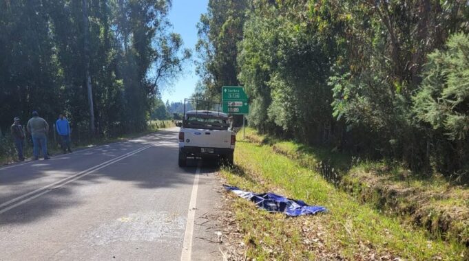 Investigan Hallazgo De Persona Fallecida Al Costado De Ruta En Gorbea: Se Trata De Un Hombre De 60 Años