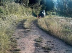 Menor De 5 Años Fallece Producto De Un Atropello En Carahue