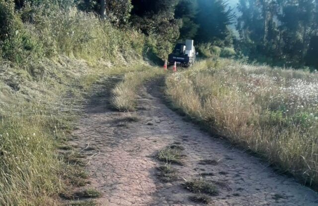 Menor De 5 Años Fallece Producto De Un Atropello En Carahue
