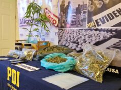 PDI Detuvo A Joven Por Microtráfico De Drogas En Pitrufquén