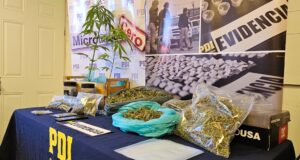 PDI Detuvo A Joven Por Microtráfico De Drogas En Pitrufquén
