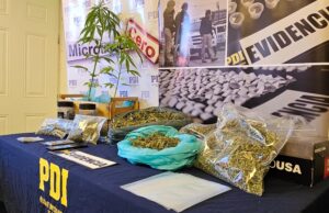 PDI Detuvo A Joven Por Microtráfico De Drogas En Pitrufquén