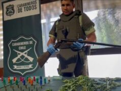 Carabineros Desbarata Banda De Tráfico De Drogas Que Operaba En La Araucanía Y Región Metropolitana