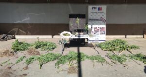 Detienen A Hombre Por Microtráfico En La Localidad De Púa