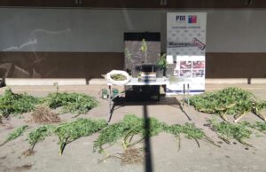 Detienen A Hombre Por Microtráfico En La Localidad De Púa