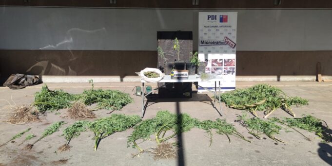 Detienen A Hombre Por Microtráfico En La Localidad De Púa