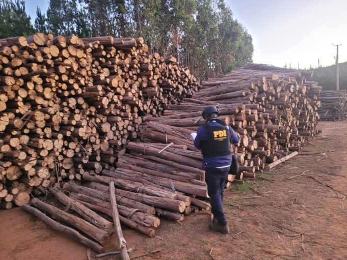 PDI Detuvo A Cuatro Hombres Por Sustracción De Madera En Lumaco