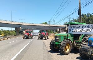 Freire: Agricultores Se Movilizan En La Ruta 5 Sur Por El Bajo Precio Del Trigo