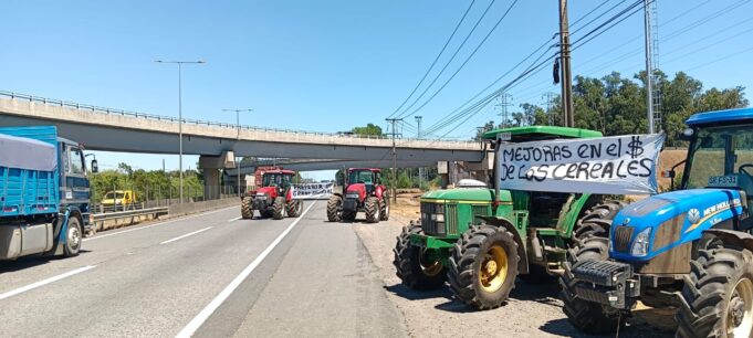 Freire: Agricultores Se Movilizan En La Ruta 5 Sur Por El Bajo Precio Del Trigo
