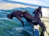 Con Buzos Mariscadores Y Grupos Subacuáticos Continúa La Búsqueda De Menor Desaparecido En Playa De Puerto Saavedra