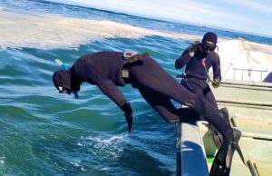 Con Buzos Mariscadores Y Grupos Subacuáticos Continúa La Búsqueda De Menor Desaparecido En Playa De Puerto Saavedra