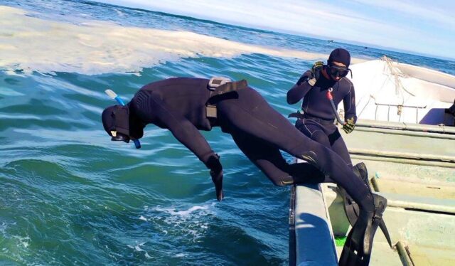 Con Buzos Mariscadores Y Grupos Subacuáticos Continúa La Búsqueda De Menor Desaparecido En Playa De Puerto Saavedra