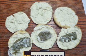 PDI Detiene A Hombre Intentando Ingresar Drogas A La Cárcel De Villarrica