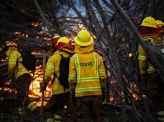 41 Incendios Activos En La Araucanía: Victoria Lleva 1500 Hectáreas Quemadas En Menos De Un Día