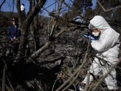 Detienen A Hombre Por Uso Ilícito Del Fuego En Labranza: Quema No Autorizada Se Expandió