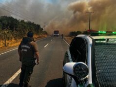 16 Personas Han Sido Detenidas Por Incendios Forestales En La Araucanía