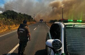16 Personas Han Sido Detenidas Por Incendios Forestales En La Araucanía