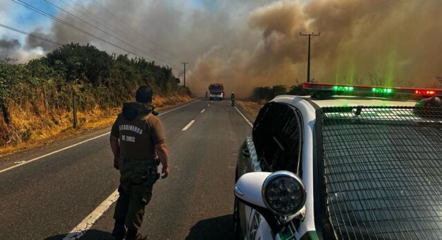 16 Personas Han Sido Detenidas Por Incendios Forestales En La Araucanía