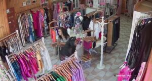 Mecheras Roban Casi Medio Millón De Pesos En Mercadería Desde Una Boutique En Pitrufquén