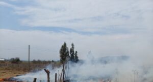 CONAF abre calendario de quemas de desechos agrícolas y forestales en toda La Araucanía