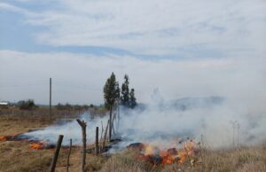 CONAF abre calendario de quemas de desechos agrícolas y forestales en toda La Araucanía