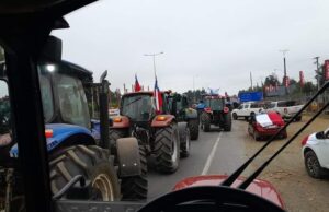 Agricultores de La Araucanía se dirigen a Temuco para manifestación por el precio del trigo
