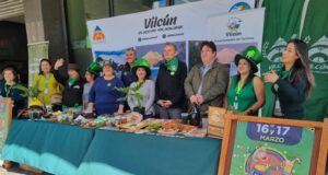 Localidad de Vilcún se tiñerá de verde para celebrar la fiesta de San Patrick