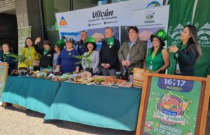 Localidad de Vilcún se tiñerá de verde para celebrar la fiesta de San Patrick
