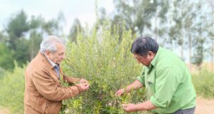 Productor mapuche de Los Sauces es reconocido como líder rural para viajar a Costa Rica