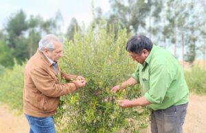 Productor mapuche de Los Sauces es reconocido como líder rural para viajar a Costa Rica