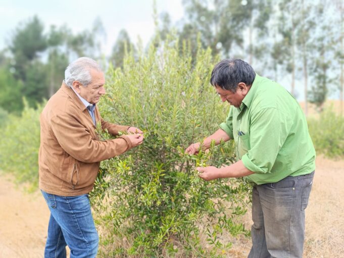 Productor mapuche de Los Sauces es reconocido como líder rural para viajar a Costa Rica