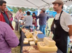 Panorama para este 13 y 14 de abril en Pitrufquén: Expo quesos promete tradición y sabor en Faja Maisan
