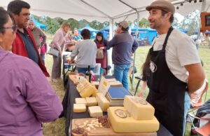 Panorama para este 13 y 14 de abril en Pitrufquén: Expo quesos promete tradición y sabor en Faja Maisan
