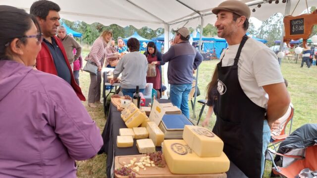 Panorama para este 13 y 14 de abril en Pitrufquén: Expo quesos promete tradición y sabor en Faja Maisan