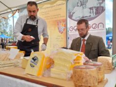 Expo Quesos de Faja Maisan: un encuentro gastronómico imperdible este fin de semana en Pitrufquén