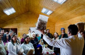Experiencia enriquecedora: en Freire se desarrolló exitoso taller de cultivo de hongos ostra y alimentación sostenible