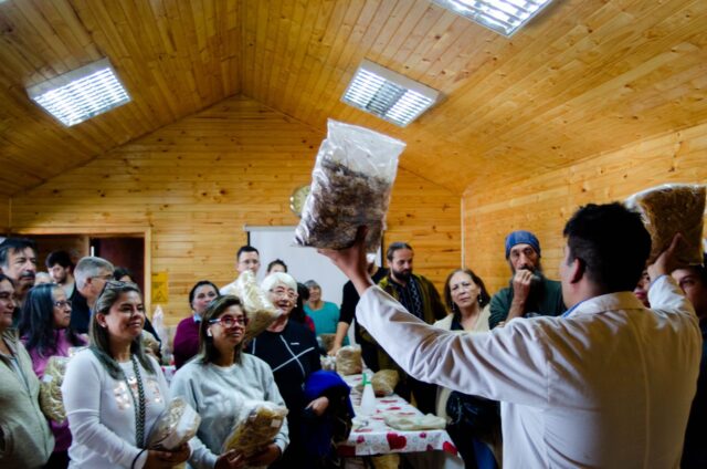 Experiencia enriquecedora: en Freire se desarrolló exitoso taller de cultivo de hongos ostra y alimentación sostenible
