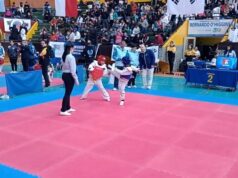 Alumnos de Taekwon-do de Pitrufquén y Villarrica destacan en Campeonato Internacional COPA KORYU