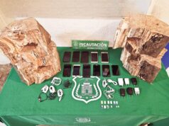 Escondidos en troncos de madera: gendarmería evitó el ingreso de 11 celulares a la cárcel de Lautaro