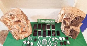 Escondidos en troncos de madera: gendarmería evitó el ingreso de 11 celulares a la cárcel de Lautaro