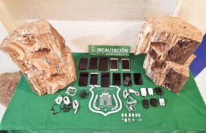 Escondidos en troncos de madera: gendarmería evitó el ingreso de 11 celulares a la cárcel de Lautaro
