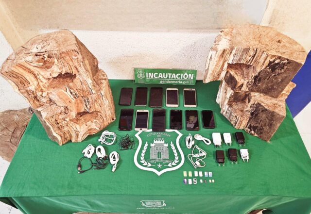 Escondidos en troncos de madera: gendarmería evitó el ingreso de 11 celulares a la cárcel de Lautaro