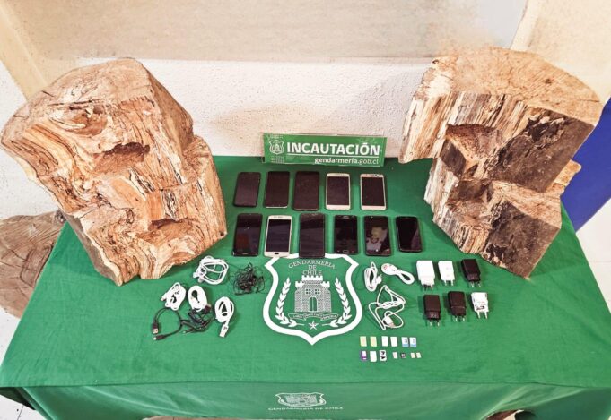 Escondidos en troncos de madera: gendarmería evitó el ingreso de 11 celulares a la cárcel de Lautaro