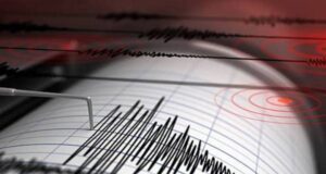 Sismo se percibió en La Araucanía y en varias regiones del centro – sur del país