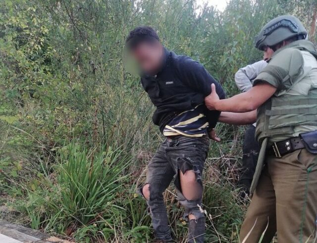 Detienen a pareja por robo en sectores rurales de Carahue: uno de ellos registra 44 reiteraciones y apoyo de vecinos fue clave para su captura